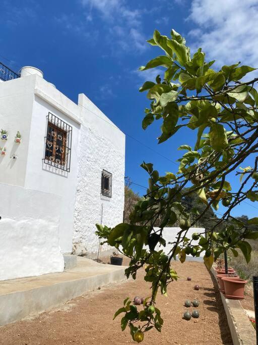 Casa Aya Villa Teror Exterior photo